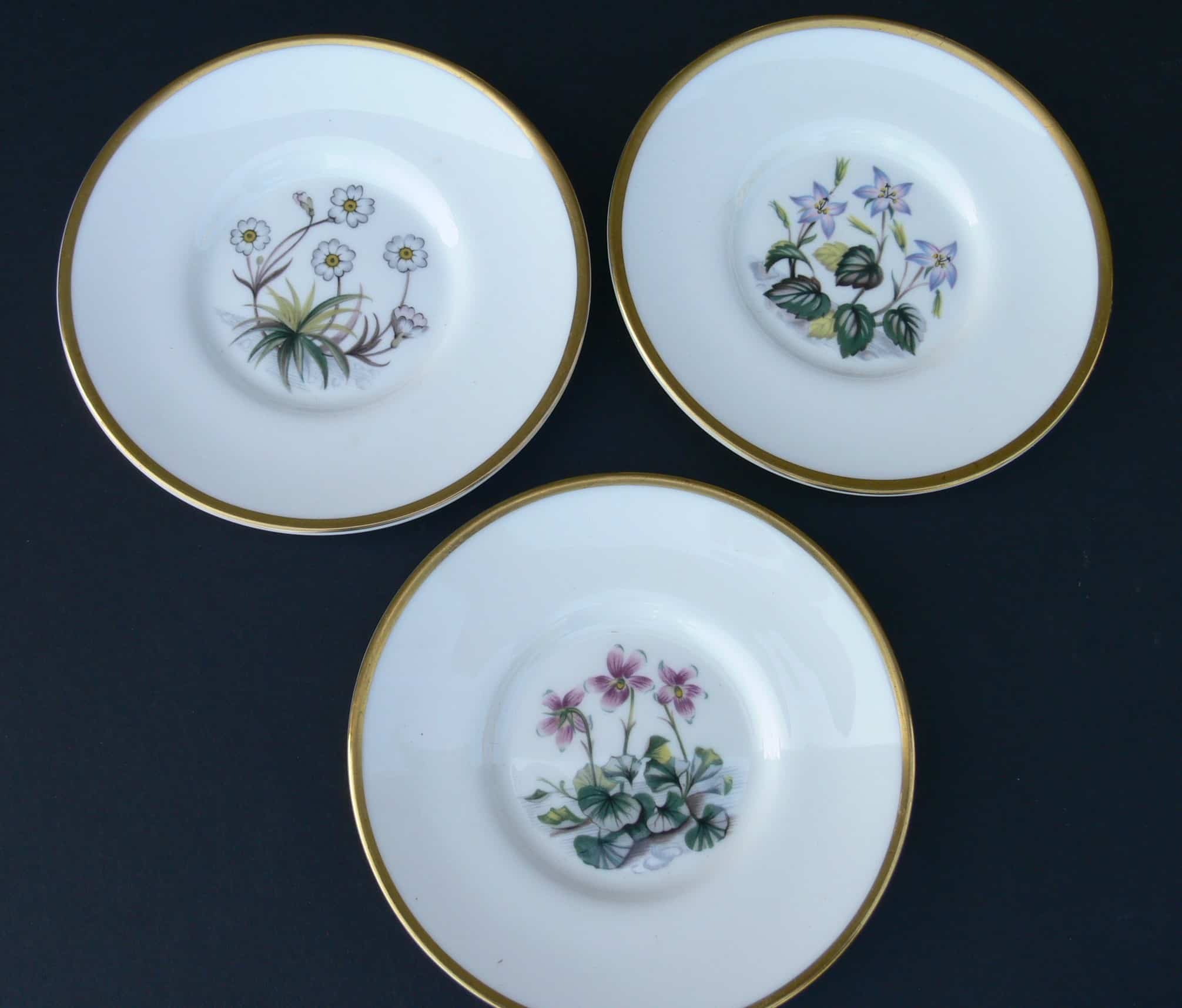 Vintage Royal Worcester Alpine Flowers Coffee Set